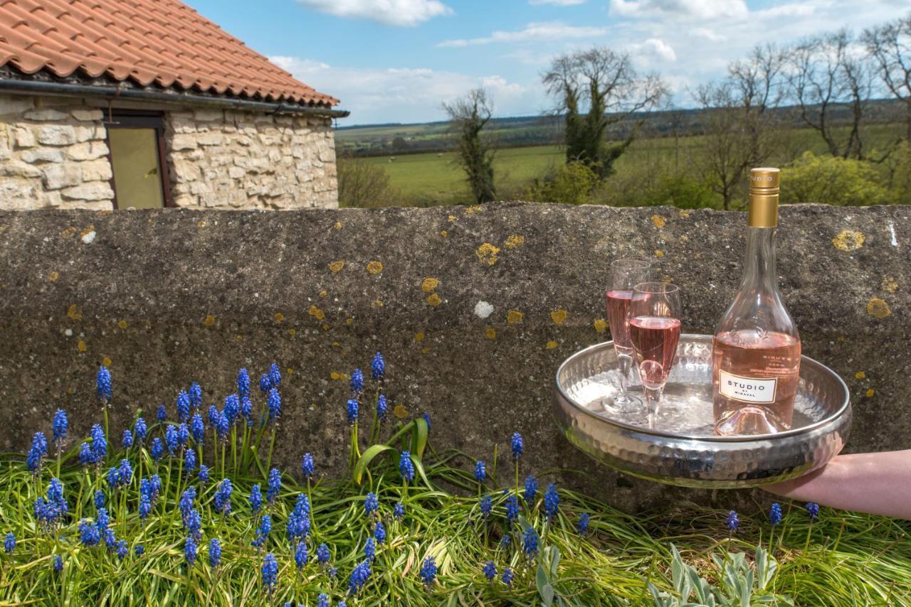 Valley View Farm Holiday Cottages Хелмсли Экстерьер фото