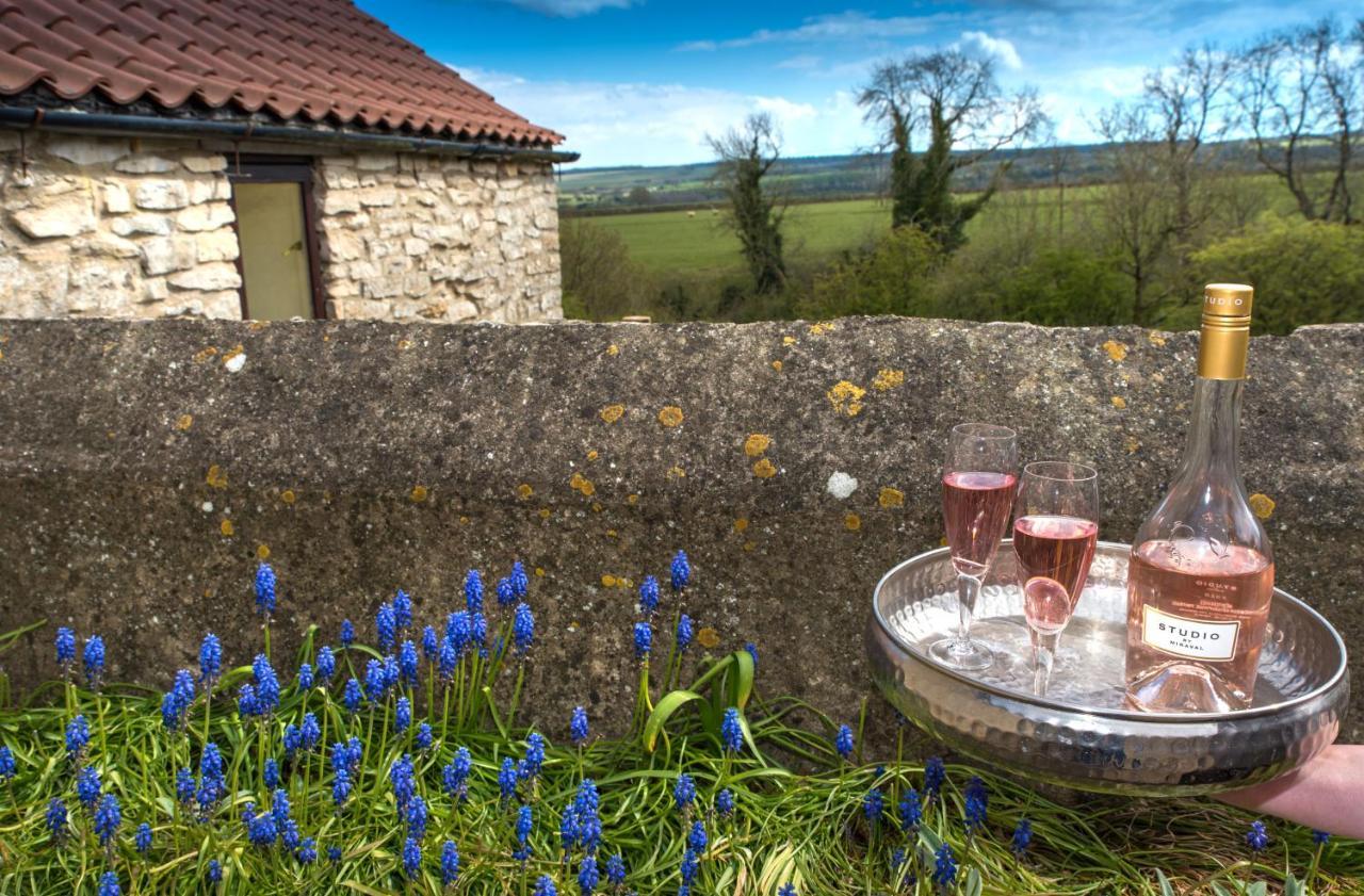 Valley View Farm Holiday Cottages Хелмсли Экстерьер фото